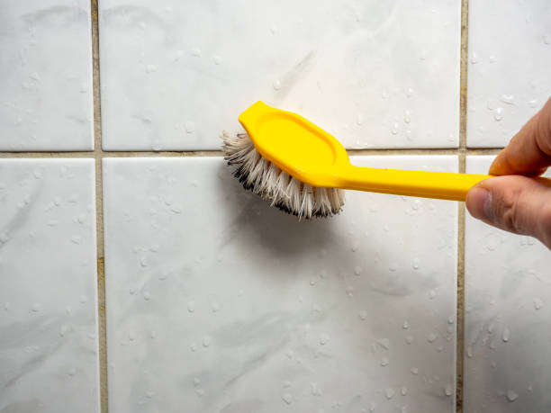 Best Attic Mold Removal  in Seth Ward, TX