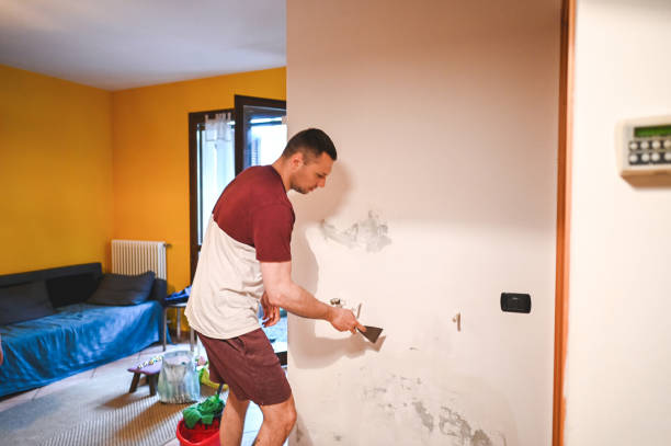 Best Certified Mold Removal  in Seth Ward, TX